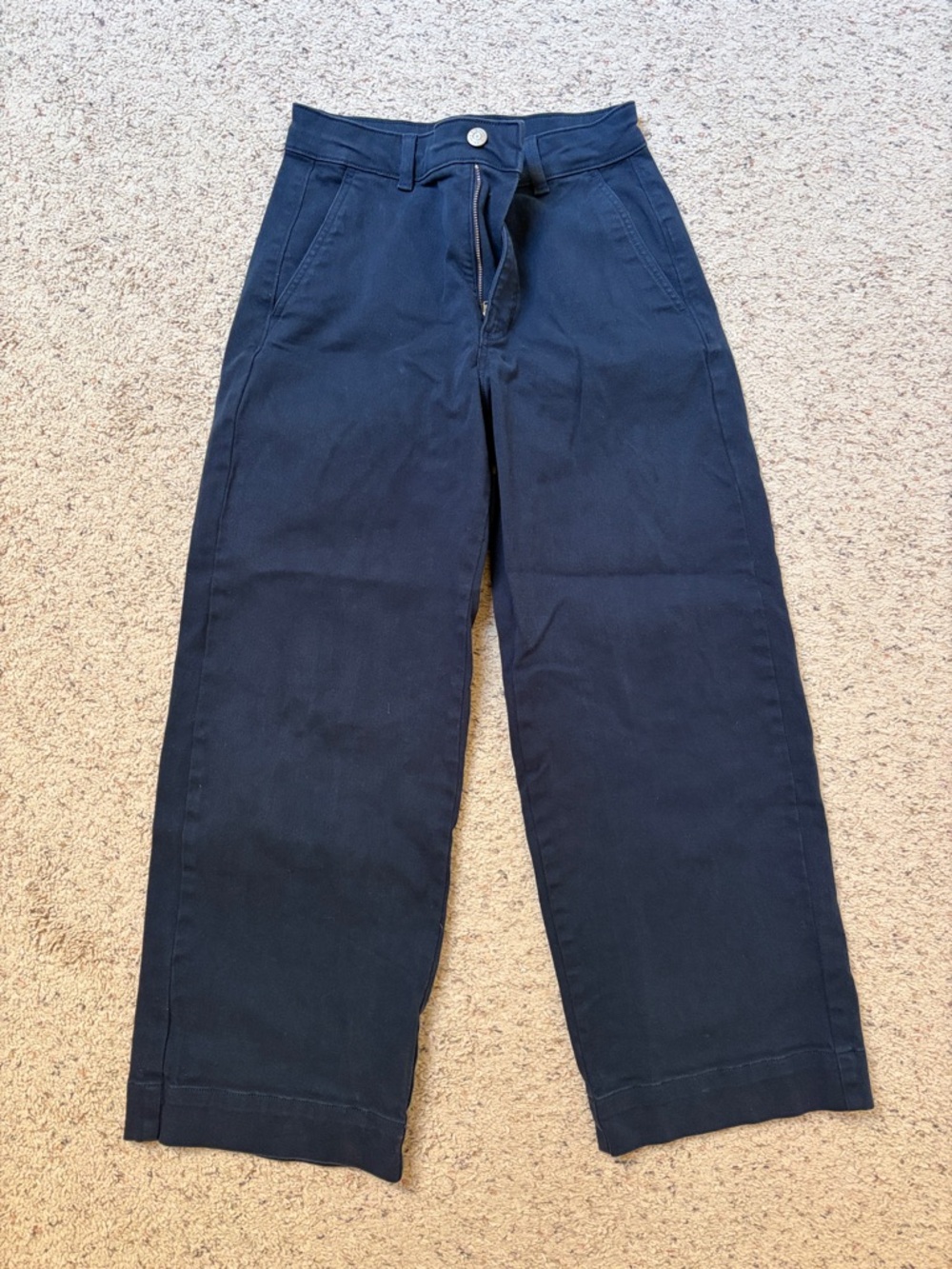 Everlane Navy Blue Wide Leg Pants
